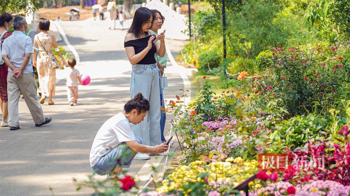 宝马线上线娱乐app